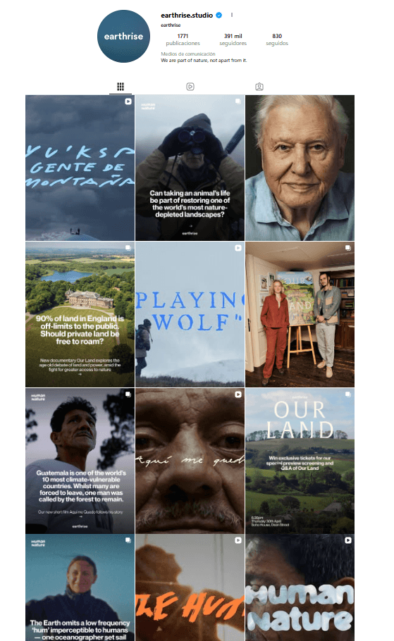 EarthRise Studio Instagram grid