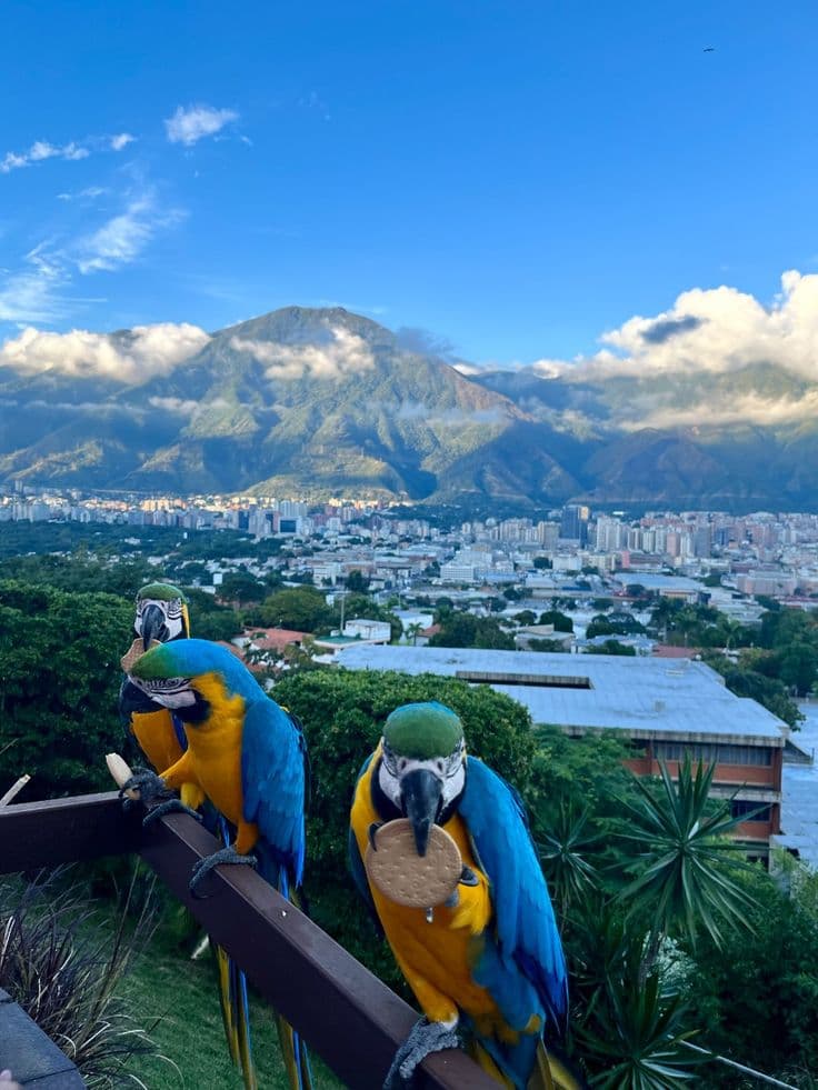 Street view of Caracas, Venezuela